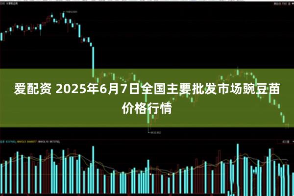 爱配资 2025年6月7日全国主要批发市场豌豆苗价格行情