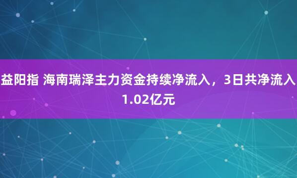 益阳指 海南瑞泽主力资金持续净流入，3日共净流入1.02亿元