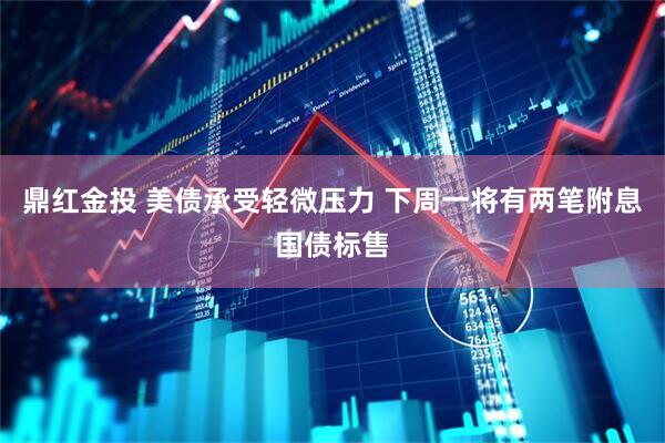 鼎红金投 美债承受轻微压力 下周一将有两笔附息国债标售