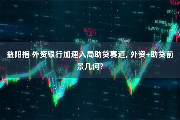 益阳指 外资银行加速入局助贷赛道, 外资+助贷前景几何?