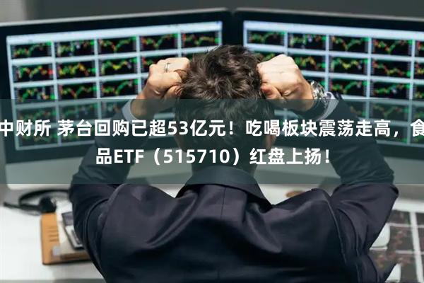 中财所 茅台回购已超53亿元！吃喝板块震荡走高，食品ETF（515710）红盘上扬！