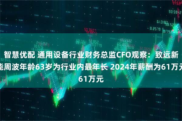 智慧优配 通用设备行业财务总监CFO观察：致远新能周波年龄63岁为行业内最年长 2024年薪酬为61万元