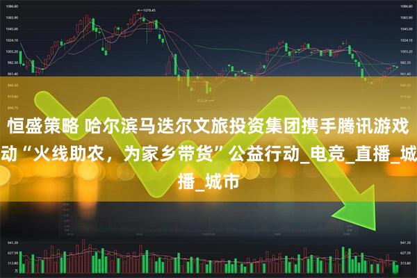 恒盛策略 哈尔滨马迭尔文旅投资集团携手腾讯游戏启动“火线助农，为家乡带货”公益行动_电竞_直播_城市