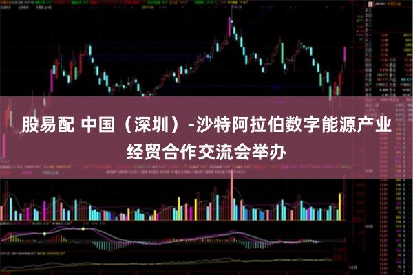 股易配 中国（深圳）-沙特阿拉伯数字能源产业经贸合作交流会举办